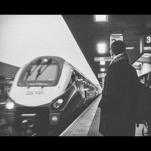 免费观看调教网
